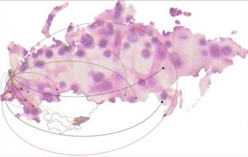 Всероссийская олимпиада с международным участием по гистологии, эмбриологии и цитологии "Эмбриофолия- 2025"