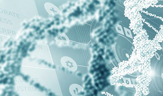 <span style="color: rgb(31, 31, 31);">Гранты Президента РФ</span>