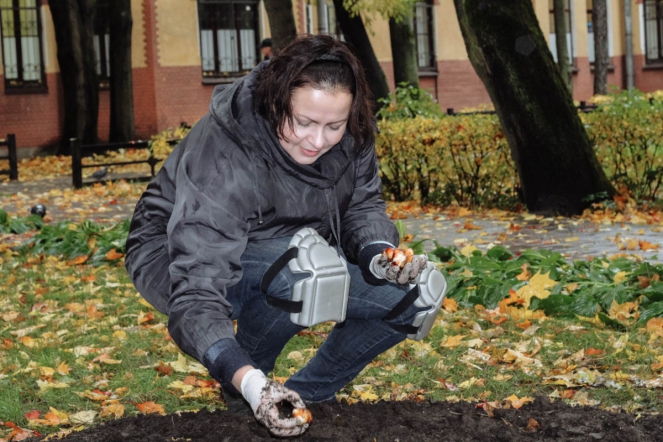 Студенты подарили университету более 300 тюльпанов 4