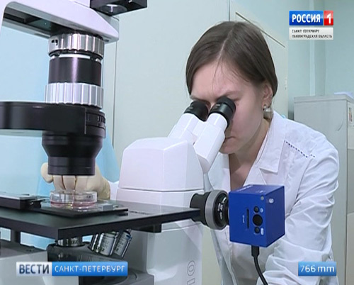 В СПбГПМУ успешно прошли эксперименты по выращиванию фрагментов органов
