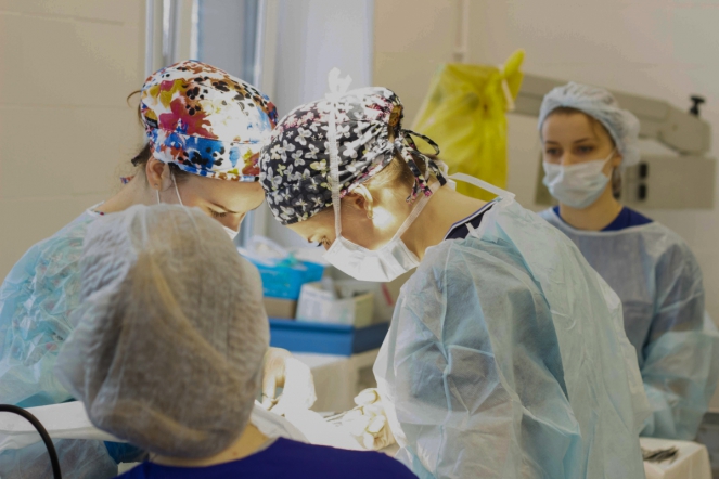 В СПбГПМУ открылась лаборатория экспериментальной хирургии