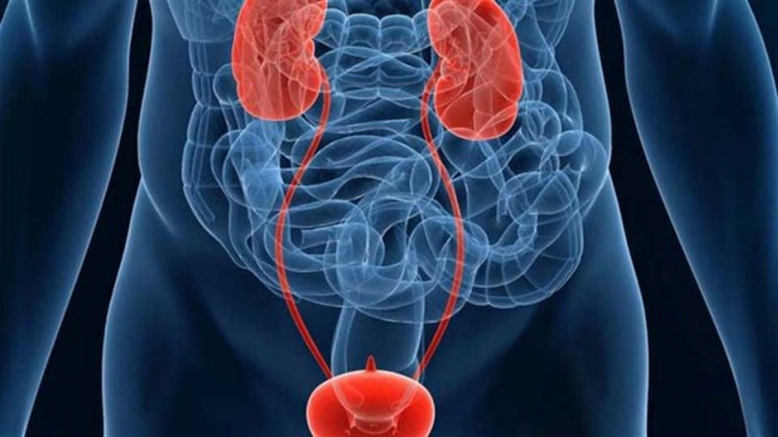 Приглашаем на авторский курс "Онкоурология"