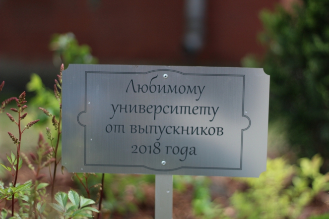 Выпускники-2018 высадили деревья на территории вуза 4