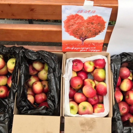 День сердца отметили студенты СПбГПМУ