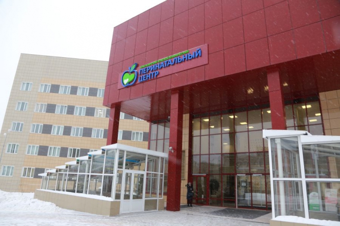 Ректор СПбГПМУ дал оценку работе неонатологов Красноярска 2