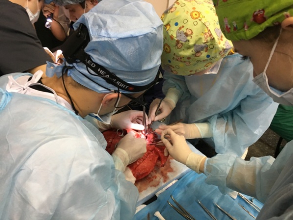 Студенты Педиатрического университета – призеры Всероссийской олимпиады по хирургии