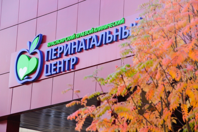 Эксперты НМИЦ по педиатрии посетили Красноярск и Иркутск