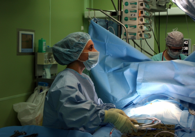 Боевое сестринство 5