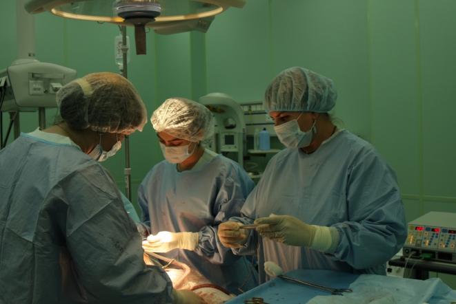 Боевое сестринство 6