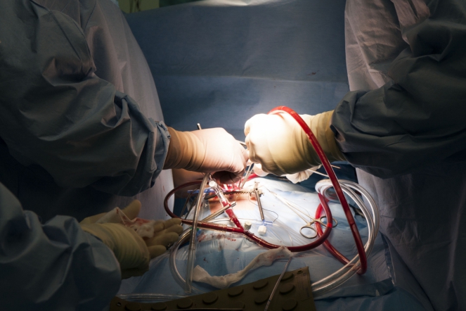 Боевое сестринство 10