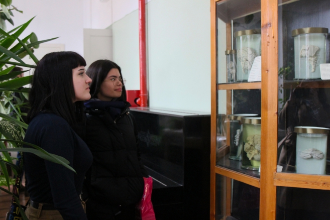 СПбГПМУ принял Форум «Моя будущая профессия – врач» 17