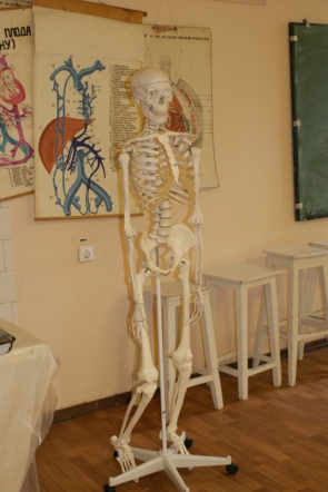 Студенты Педиатрического университета соревновались в знании анатомии 7