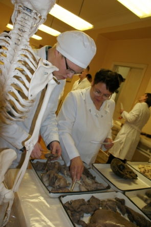 Студенты Педиатрического университета соревновались в знании анатомии