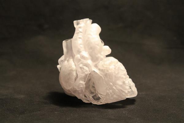 Врачи кардиохирургического отделения СПбГПМУ провели операцию на сердце c применением уникальной методики 1