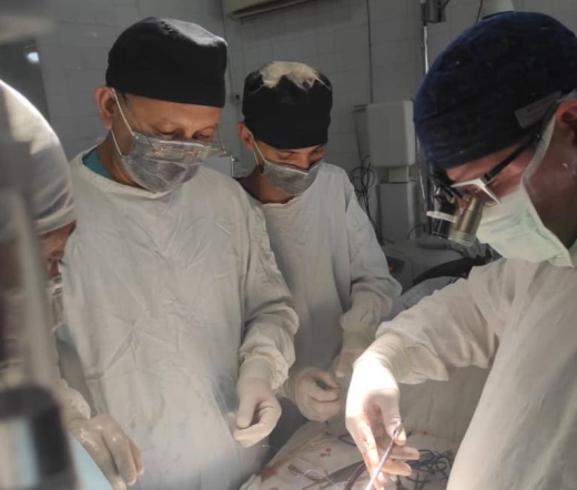 Врачи СПбГПМУ поделились опытом с киргизскими коллегами