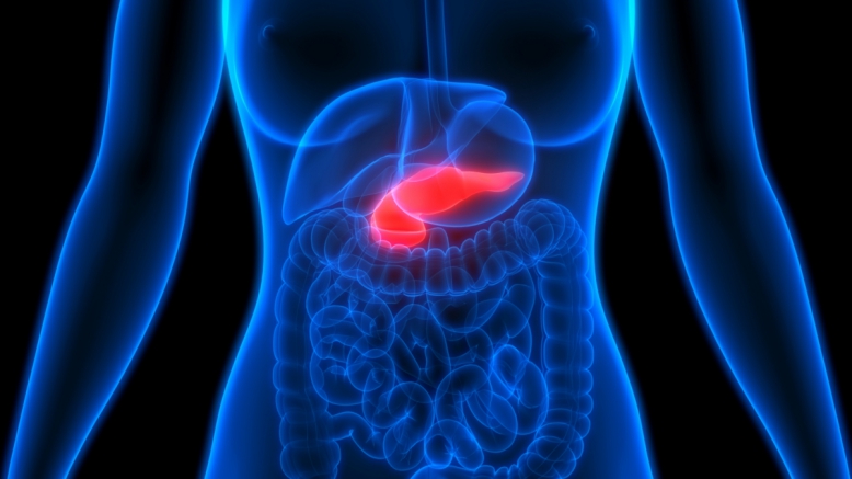 Врачи СПбГПМУ спасли ребёнка с тяжёлым  осложнением панкреонекроза