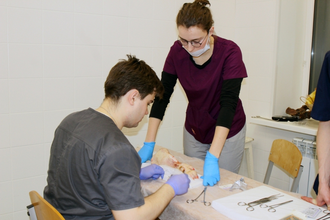 В СПбГПМУ состоялась студенческая олимпиада по оперативной хирургии 7