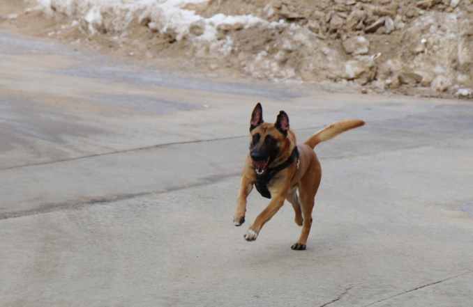 В Педиатрическом университете провели командно-штабные учения 4