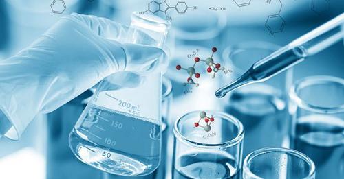 Студентка СПбГПМУ выступила с докладом на Конференции