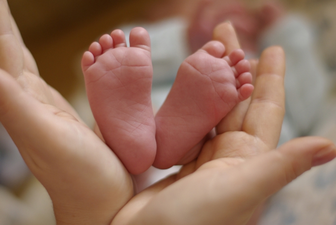 Педиатрический университет сотрудничает с Вологодской областью по вопросам ЭКО