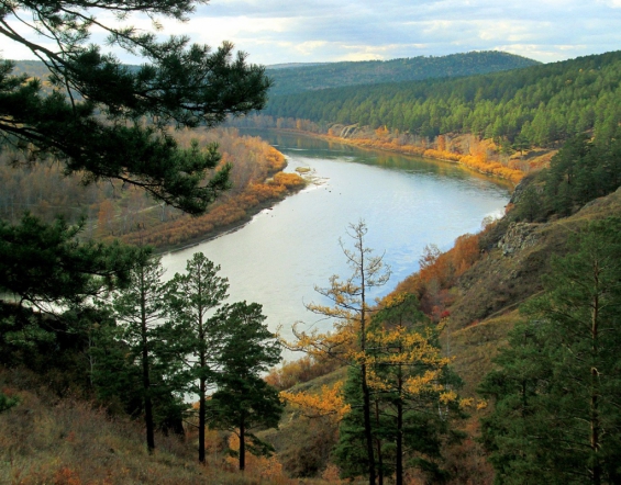 Забайкалье и Бурятия: ведущие специалисты СПбГПМУ помогут улучшить качество оказания помощи в регионах