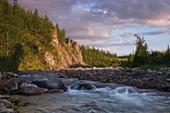 Специалисты НМИЦ СПбГПМУ выезжают в Коми