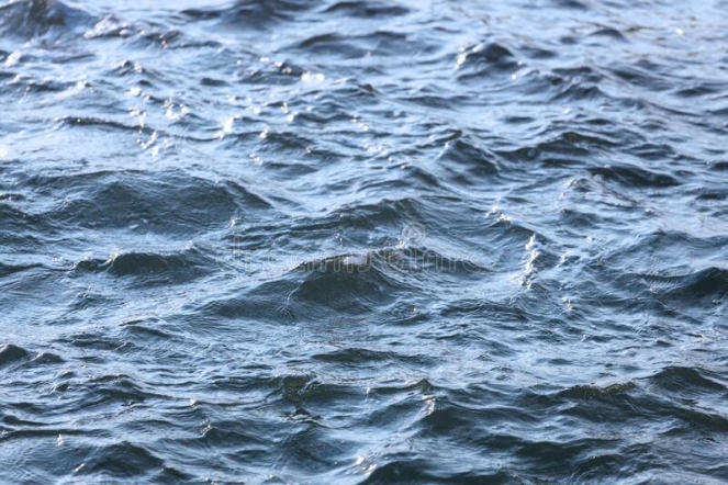 В Педиатрическом университете спасают детей, оставшихся без присмотра на воде