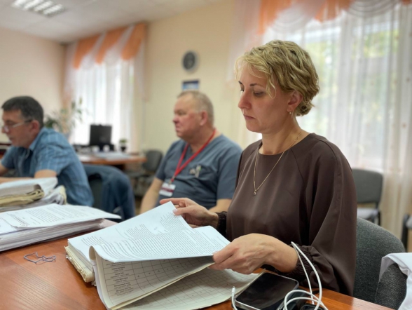 Работа медиков Томска в другом ракурсе: эксперты НМИЦ СПбГПМУ оценили педиатрическую службу региона 30