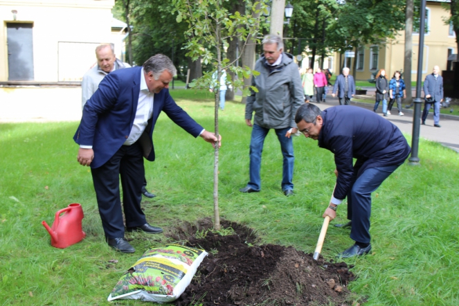 Педиатрический университет принял участие в проекте «Лес Победы»