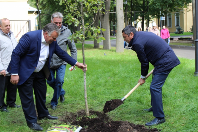 Педиатрический университет принял участие в проекте «Лес Победы» 1