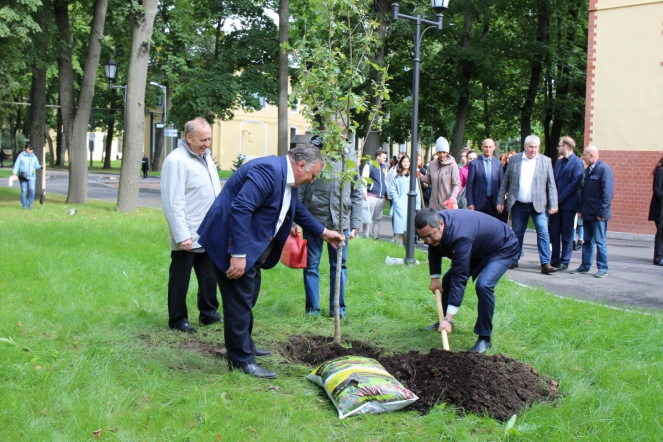 Педиатрический университет принял участие в проекте «Лес Победы» 2