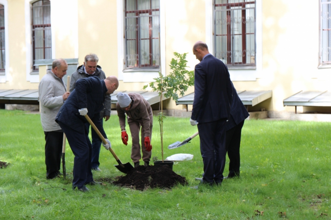 Педиатрический университет принял участие в проекте «Лес Победы» 3