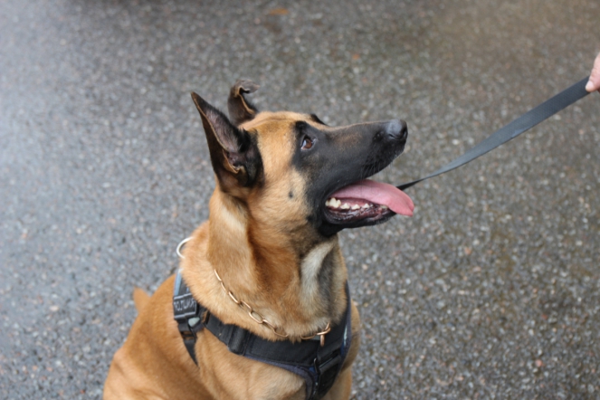 В Педиатрическом университете прошли плановые учения 2