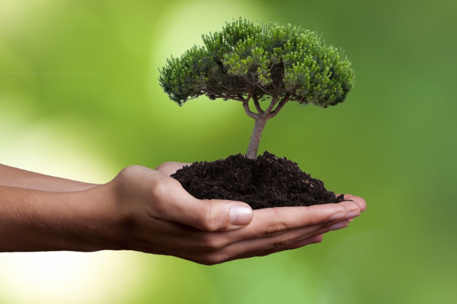 Предлагаем пройти «Экологичный опрос»