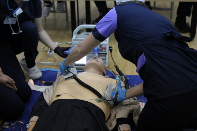 В Северной столице определили будущее педиатрии 22