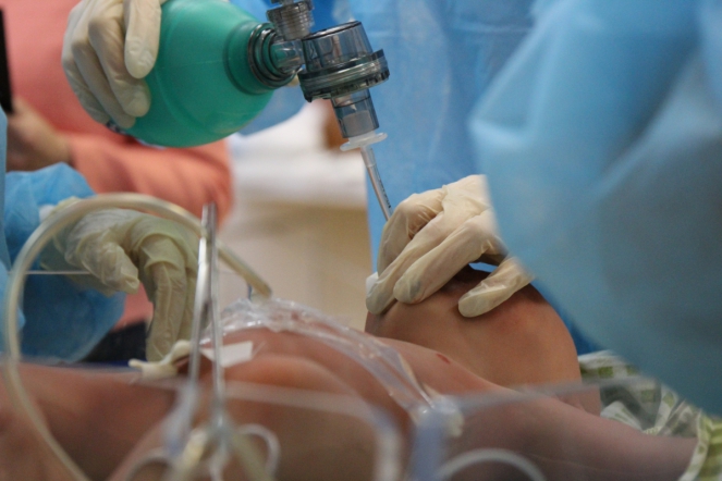 В Северной столице определили будущее педиатрии 28