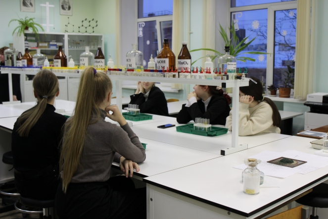 Преподаватели СПбГПМУ посетили школу №197 с углубленным изучением химии и биологии 8