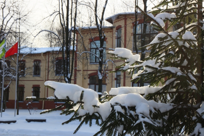 Деды Морозы и Снегурочки навестили пациентов клиники Педиатрического университета