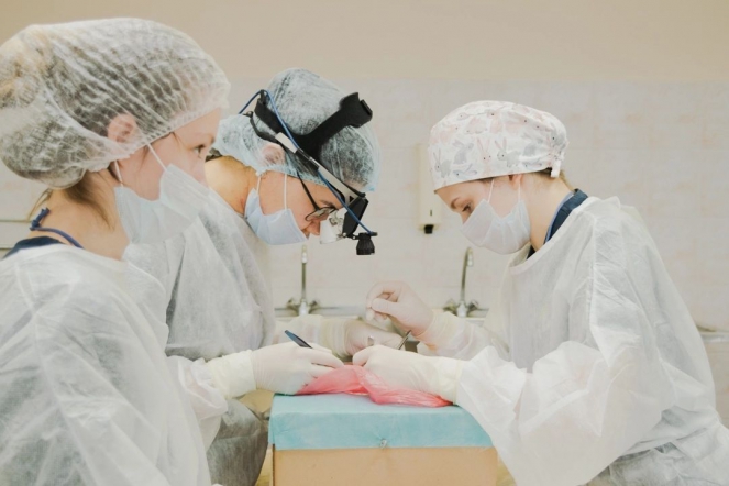 Сборная Педиатрического университета приняла участие в отборочном этапе Всероссийской студенческой олимпиады по хирургии имени академика М. И. Перельмана 1