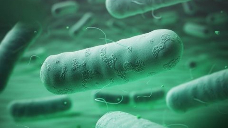 Вебинар «Хронические иерсиниозы: взгляд педиатра» (семинар/разбор клинического случая)