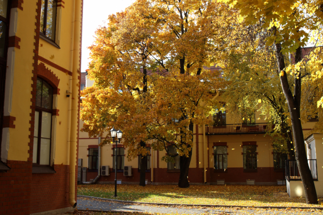 Врачи Педиатрического университета удалили пульку из ладони десятилетнего пациента