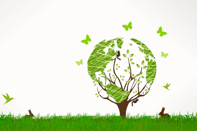 Экологичный опрос