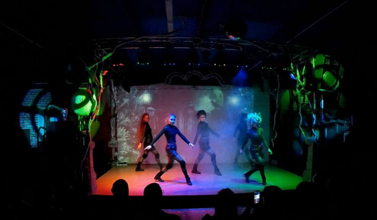 На сцене студенческого  клуба «Гиппократ» прошло новогоднее шоу 3