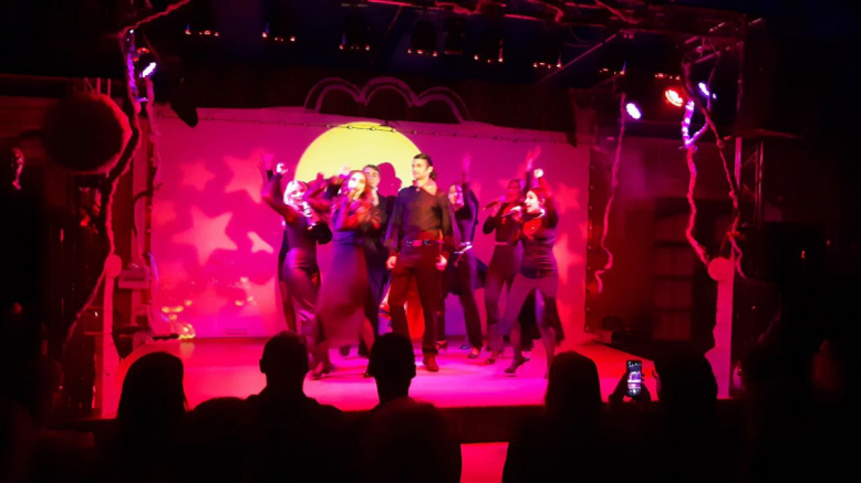 На сцене студенческого  клуба «Гиппократ» прошло новогоднее шоу 4