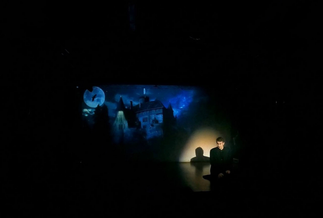 На сцене студенческого  клуба «Гиппократ» прошло новогоднее шоу 10