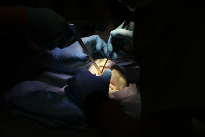 Студенты Педиатрического университета заняли призовые места на олимпиаде по нейрохирургии 3