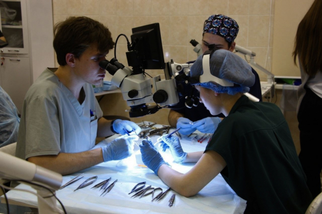 Студенты Педиатрического университета заняли призовые места на олимпиаде по нейрохирургии