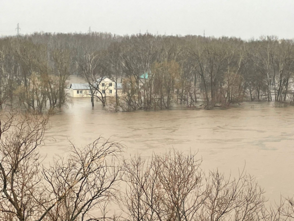 Эпидемиологи Педиатрического университета помогают детям Оренбургской области 5