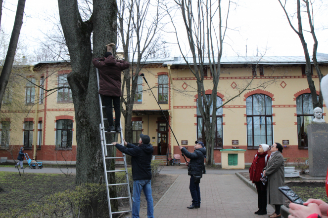 В Педиатрическом университете запустили фонтан и повесили скворечники 9