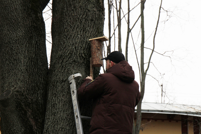 В Педиатрическом университете запустили фонтан и повесили скворечники